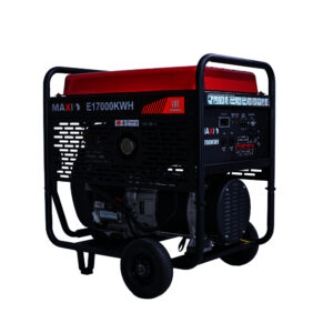 MAXIGEN 17KW Gasoline 60L
